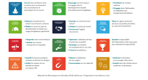 CSR: corporate social and environmental responsibility – the 12 SDG pillars