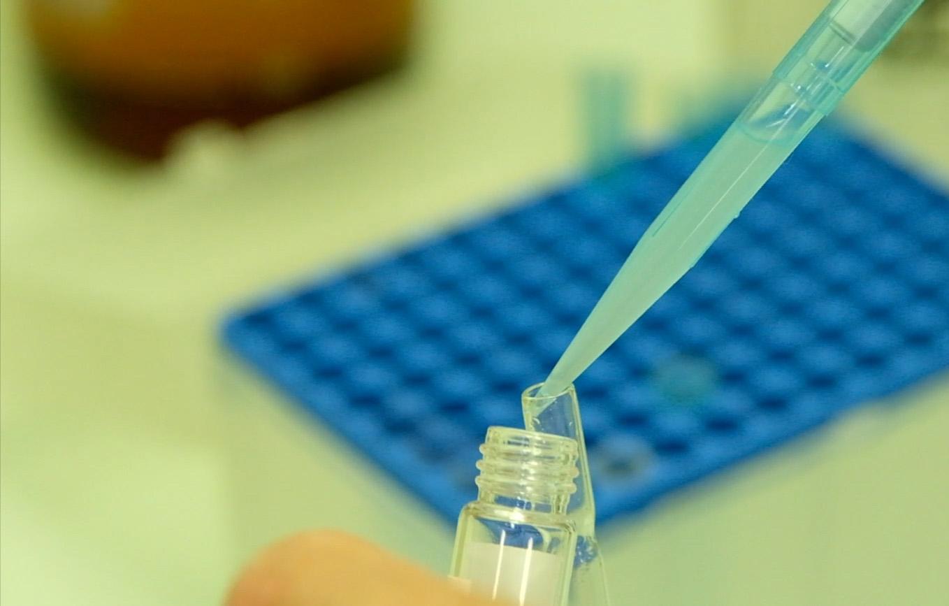 Recherche & Formation aux métiers de la mer au port de Boulogne